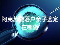 阿克苏做落户亲子鉴定在哪做