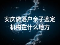 安庆做落户亲子鉴定机构在什么地方