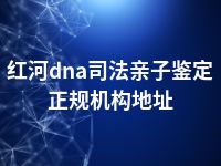 红河dna司法亲子鉴定正规机构地址