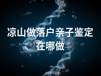 凉山做落户亲子鉴定在哪做