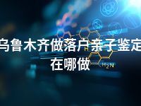 乌鲁木齐做落户亲子鉴定在哪做