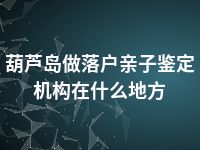 葫芦岛做落户亲子鉴定机构在什么地方