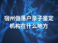 宿州做落户亲子鉴定机构在什么地方