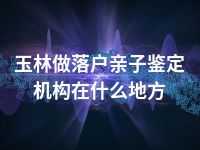 玉林做落户亲子鉴定机构在什么地方