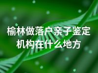 榆林做落户亲子鉴定机构在什么地方