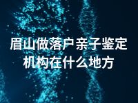 眉山做落户亲子鉴定机构在什么地方