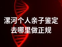 漯河个人亲子鉴定去哪里做正规