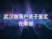 武汉做落户亲子鉴定在哪做