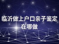 临沂做上户口亲子鉴定在哪做