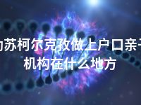 克孜勒苏柯尔克孜做上户口亲子鉴定机构在什么地方