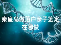 秦皇岛做落户亲子鉴定在哪做