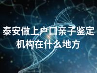 泰安做上户口亲子鉴定机构在什么地方