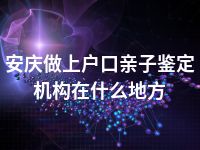 安庆做上户口亲子鉴定机构在什么地方