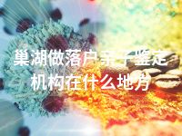 巢湖做落户亲子鉴定机构在什么地方