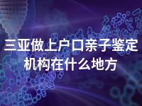 三亚做上户口亲子鉴定机构在什么地方