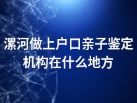 漯河做上户口亲子鉴定机构在什么地方