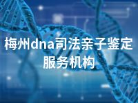 梅州dna司法亲子鉴定服务机构