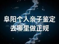 阜阳个人亲子鉴定去哪里做正规