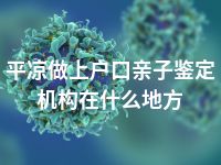 平凉做上户口亲子鉴定机构在什么地方