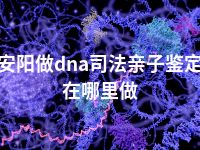 安阳做dna司法亲子鉴定在哪里做