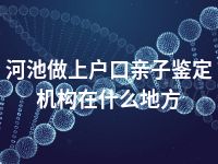 河池做上户口亲子鉴定机构在什么地方