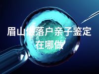 眉山做落户亲子鉴定在哪做