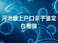 河池做上户口亲子鉴定在哪做