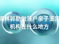 锡林郭勒做落户亲子鉴定机构在什么地方