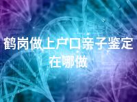 鹤岗做上户口亲子鉴定在哪做