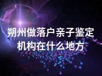 朔州做落户亲子鉴定机构在什么地方