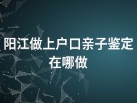 阳江做上户口亲子鉴定在哪做