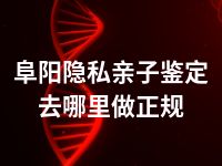 阜阳隐私亲子鉴定去哪里做正规