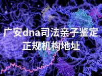 广安dna司法亲子鉴定正规机构地址