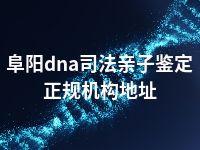 阜阳dna司法亲子鉴定正规机构地址