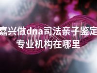 嘉兴做dna司法亲子鉴定专业机构在哪里