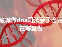 盐城做dna司法亲子鉴定在哪里做