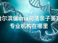 哈尔滨做dna司法亲子鉴定专业机构在哪里