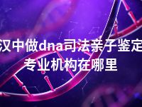 汉中做dna司法亲子鉴定专业机构在哪里