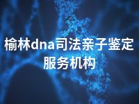 榆林dna司法亲子鉴定服务机构