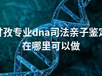 甘孜专业dna司法亲子鉴定在哪里可以做