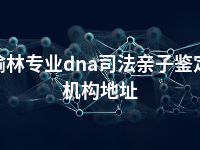 榆林专业dna司法亲子鉴定机构地址