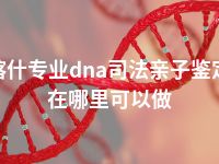 喀什专业dna司法亲子鉴定在哪里可以做