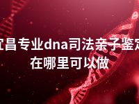 宜昌专业dna司法亲子鉴定在哪里可以做