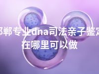 邯郸专业dna司法亲子鉴定在哪里可以做