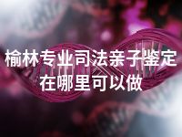 榆林专业司法亲子鉴定在哪里可以做