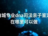 白城专业dna司法亲子鉴定在哪里可以做