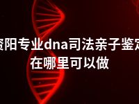 资阳专业dna司法亲子鉴定在哪里可以做