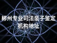 郴州专业司法亲子鉴定机构地址