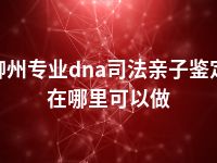 柳州专业dna司法亲子鉴定在哪里可以做