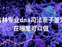 吉林专业dna司法亲子鉴定在哪里可以做